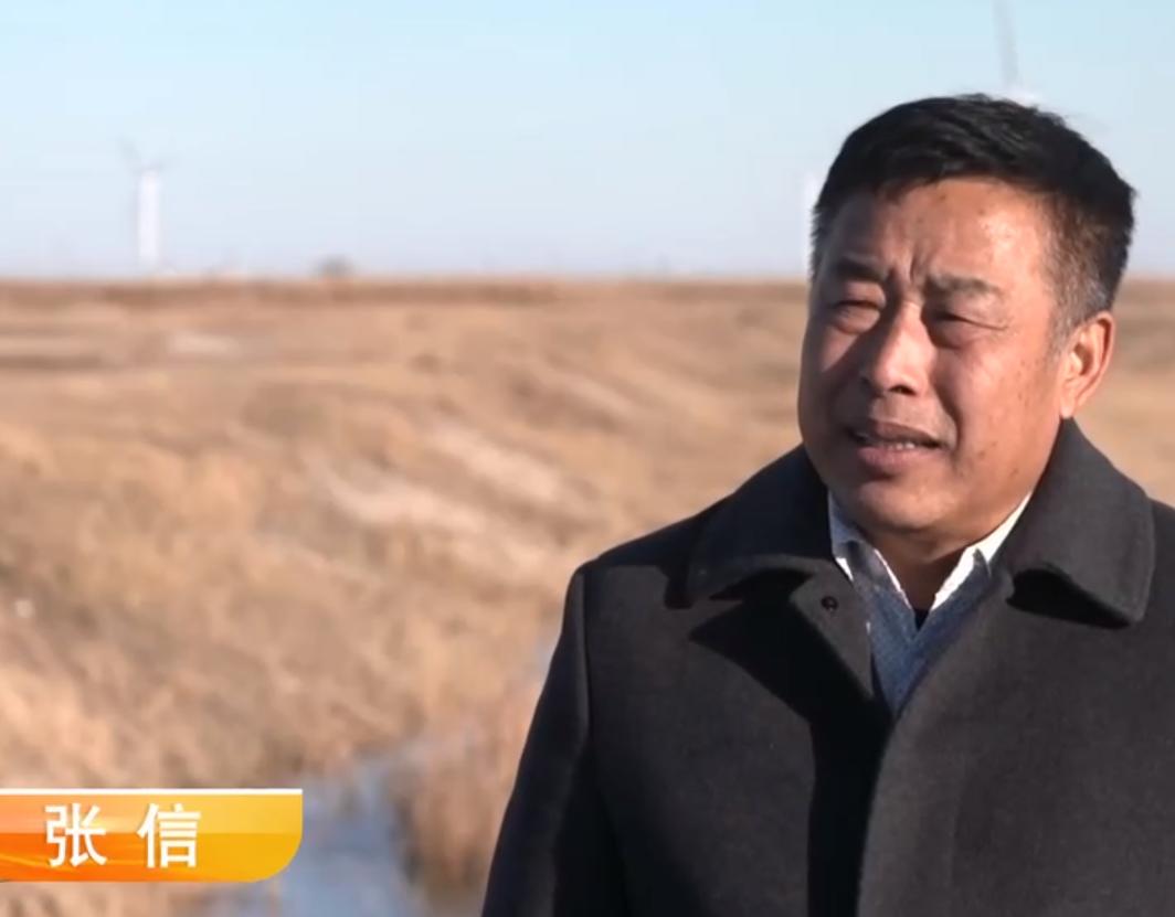 养鹅3000只被拐走,东北大爷养大鹅被大雁拐走3000只