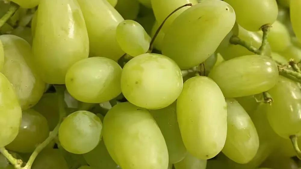 水果店投资多少钱四平米,水果店投资40万85平多久回本