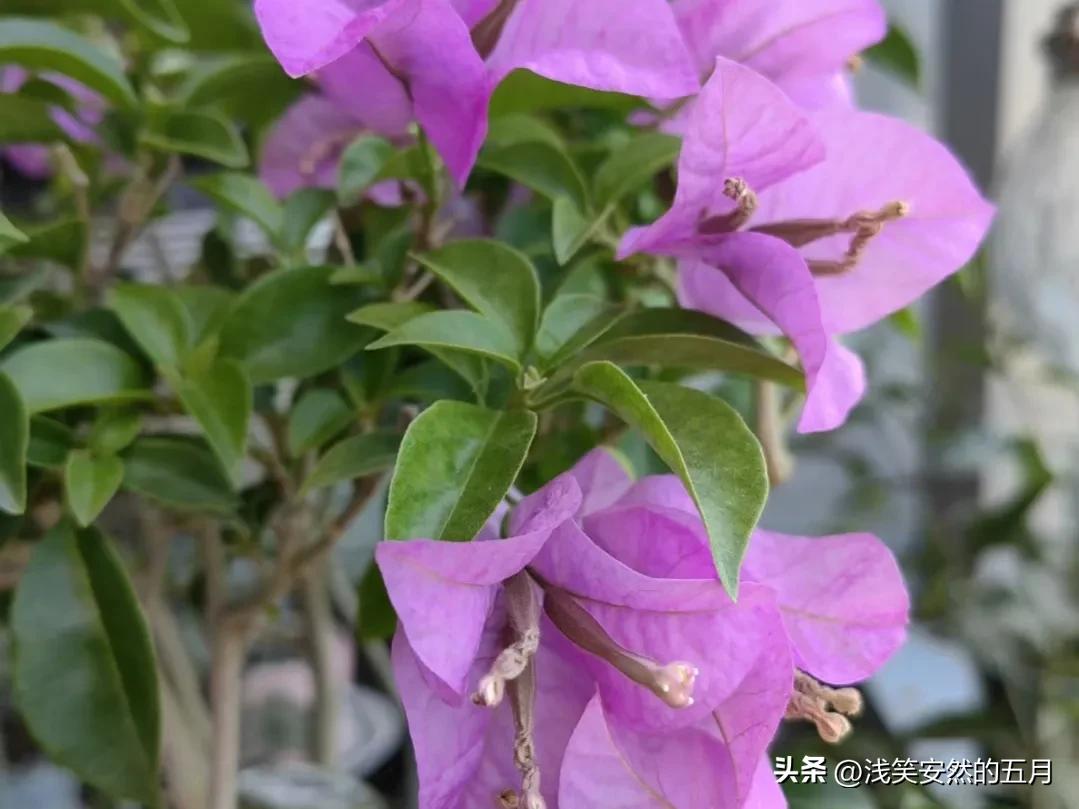 全职家庭主妇怎么攒私房钱,家庭主妇攒多少私房钱