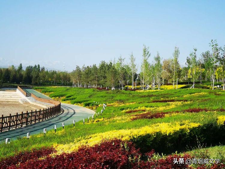 七绝梅花吟五首,秋天河边杨柳七绝