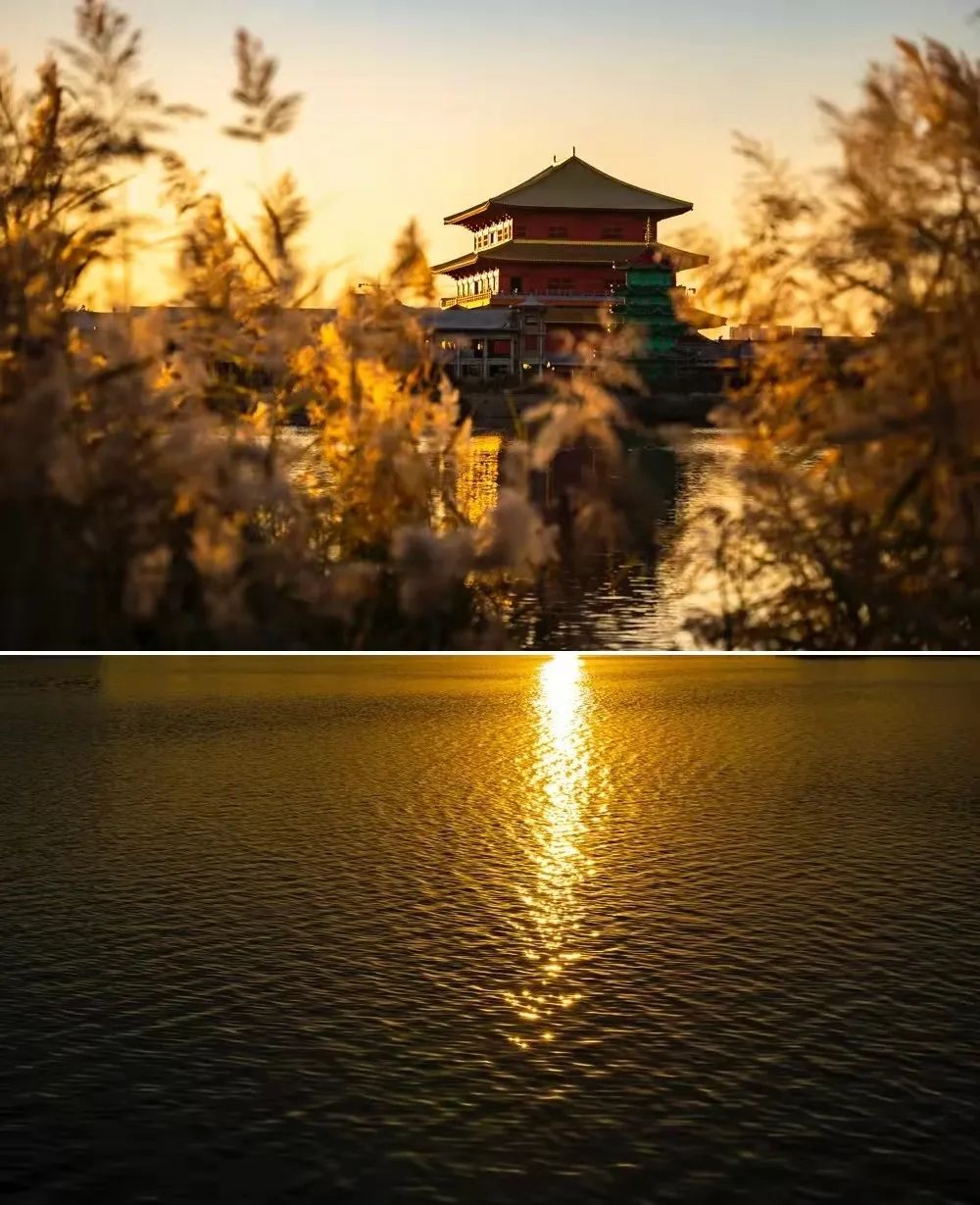 【我家门前有条河】藏不住了！初夏必须去打卡的“森林小城”，有着最让人向往的生活！