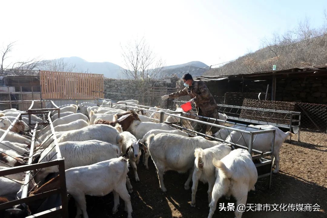 打造农特产品线上销售平台,蓟州农产品销售平台