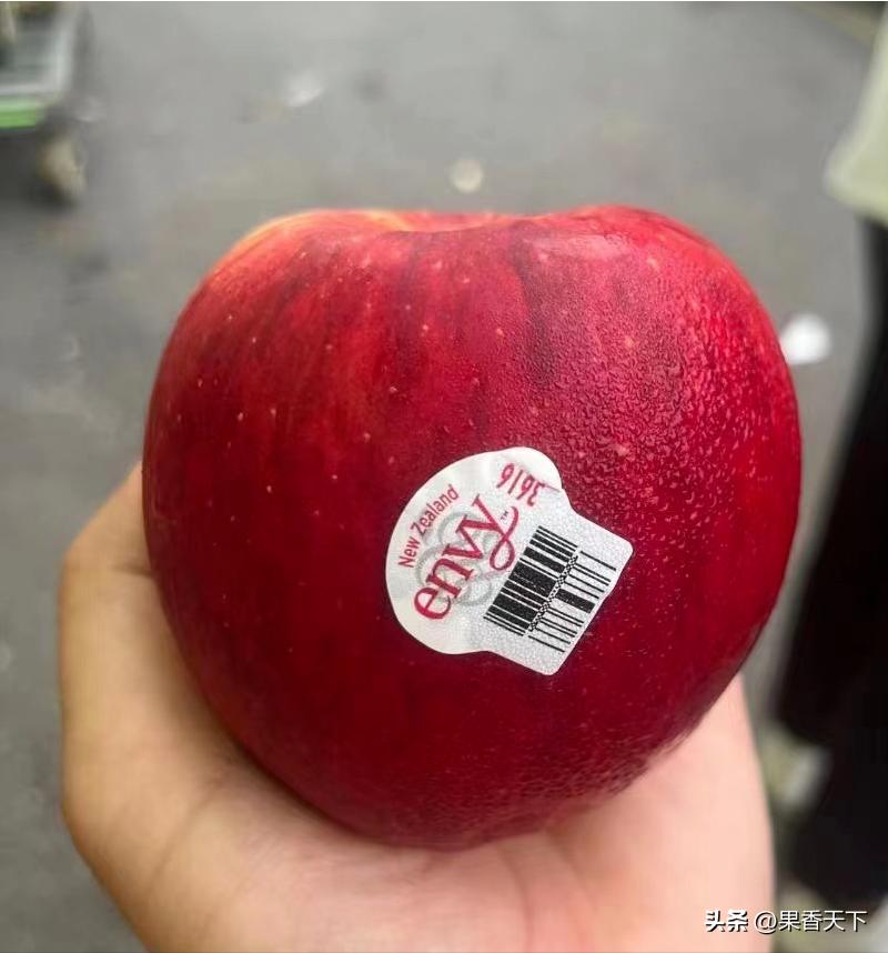 最新苹果品种排名,最有潜力苹果新品种前三名