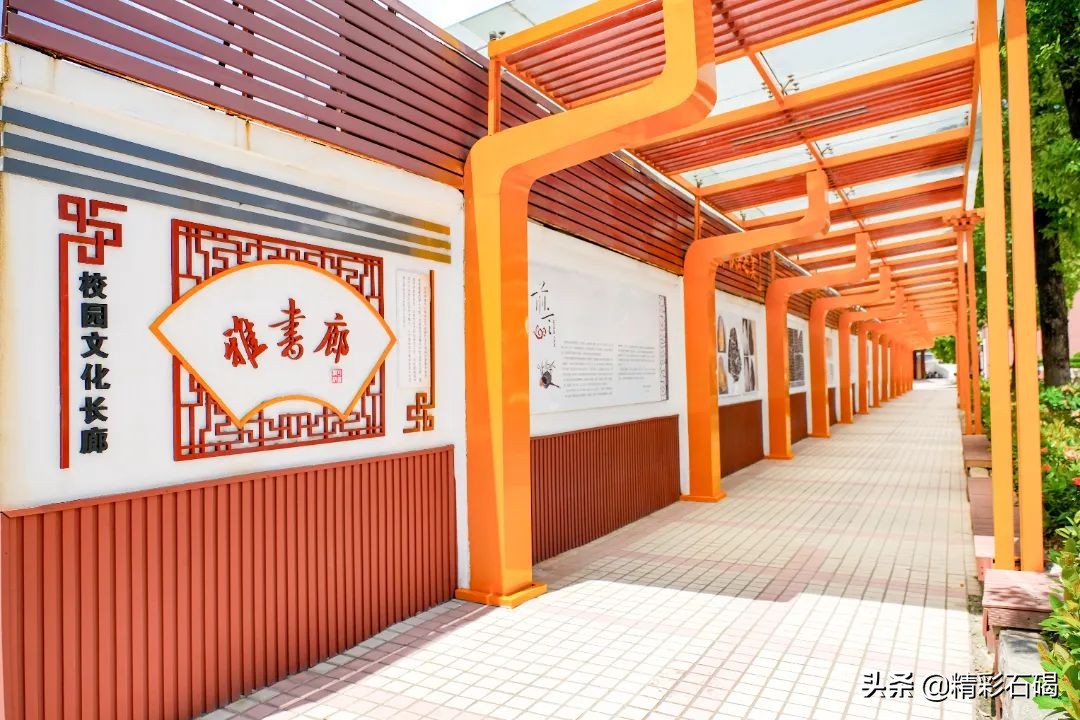 东莞石碣四海学校排名,东莞市四海英才小学招生简章