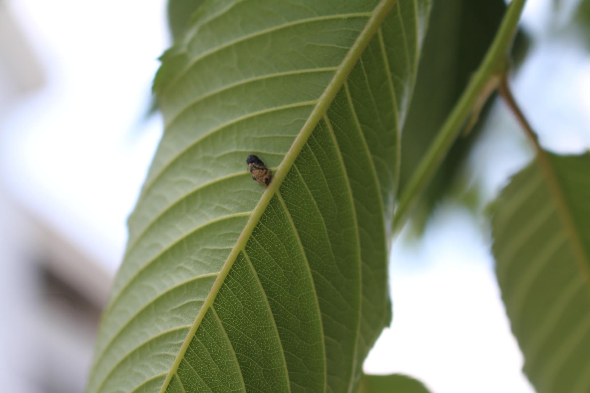 佳能相机100d代值得买吗,2022年佳能100d值得买吗