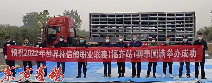 武汉福齐获奖鸽,2019武汉福齐国际集鸽名单