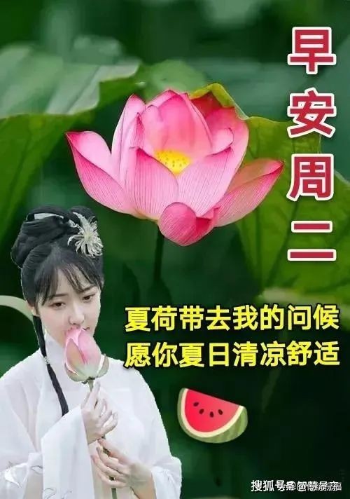早上好图片漂亮祝福表情包,11月30日早上好创意祝福表情包