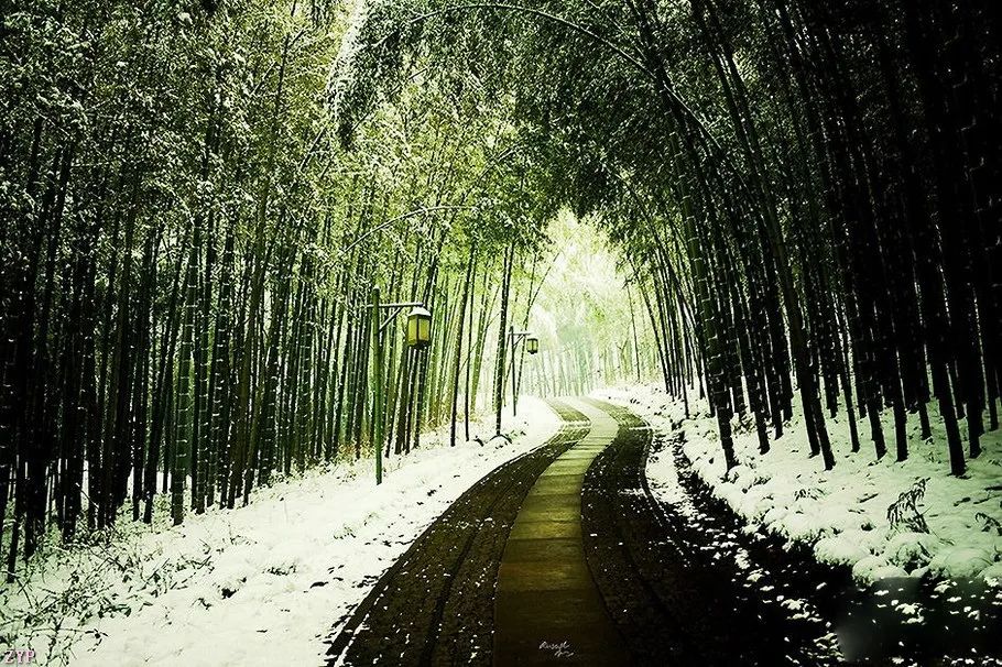 中国人文摄影获奖作品,大美中国摄影作品展获奖