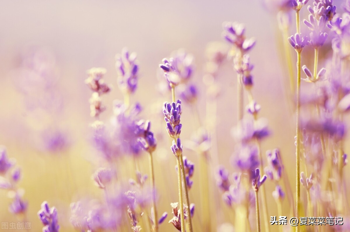 上班族可做哪些副业赚钱快,上班族做副业适合干点什么