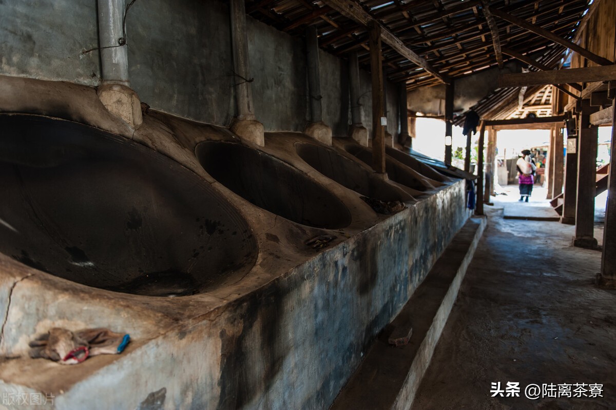 普洱茶杀青的详细介绍,普洱茶之鲜叶篇