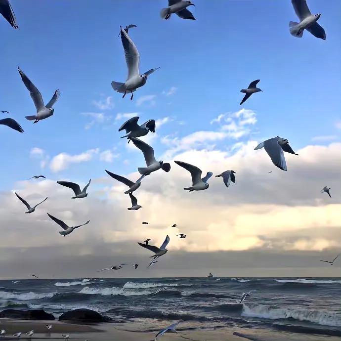 一组超可爱的背景图,背景图朋友圈一组