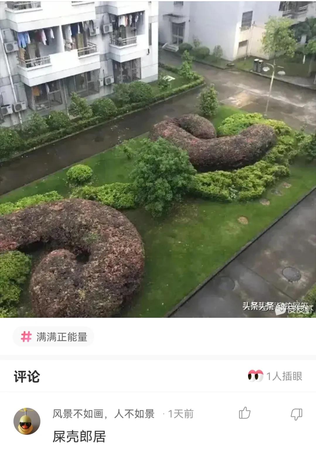 接种疫苗后发现怀孕了能要吗,接种疫苗发现怀孕了能要吗