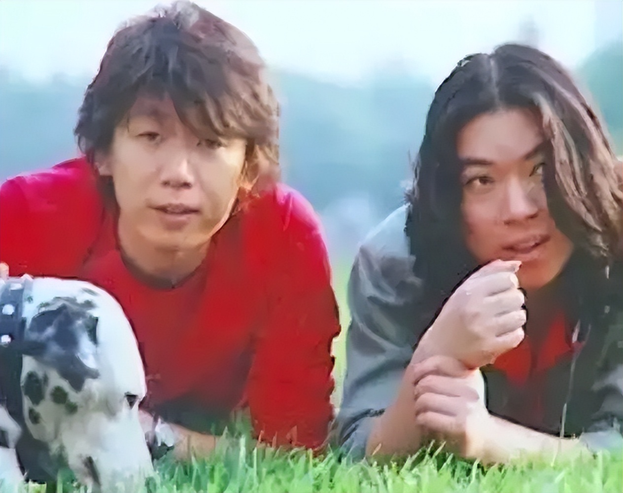 李健和高晓松,李健与高晓松对比