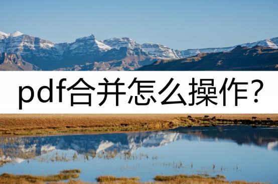 如何把pdf文件合并到word文件里,迅捷pdf编辑器里怎么合并多个pdf