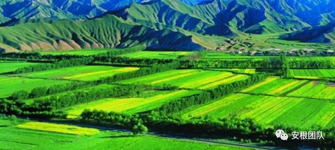 12种生态循环农业养殖模式,现代农业发展策略