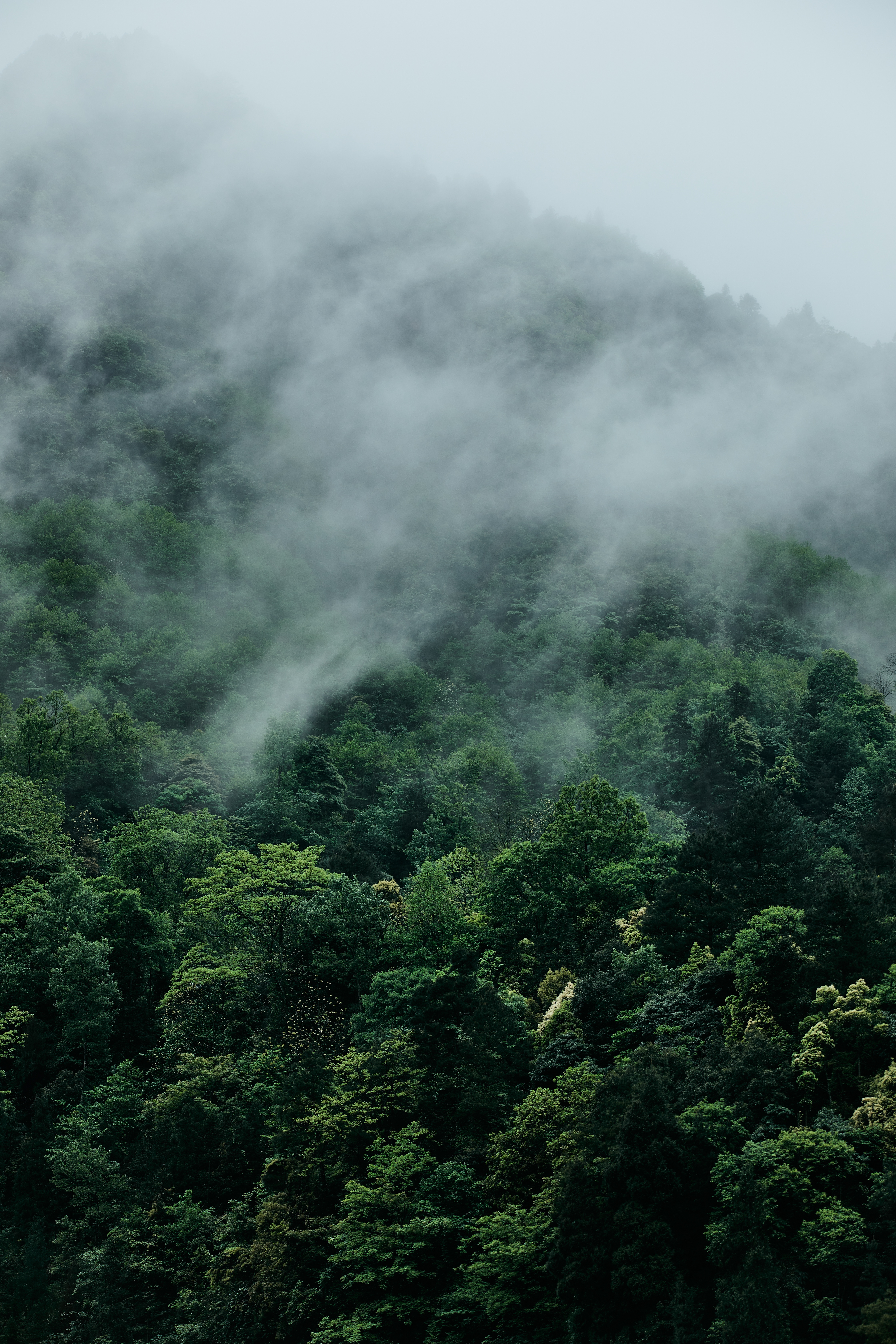 贵州真实山沟沟里风景,贵州大山深处旅游