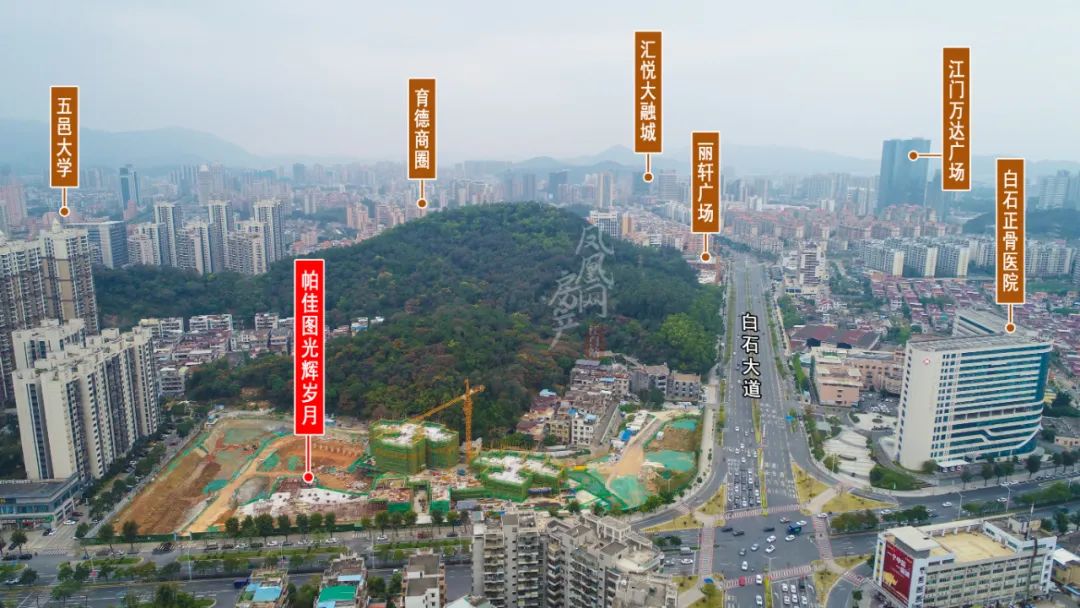 3虎,三虎打得赢乔亚吗