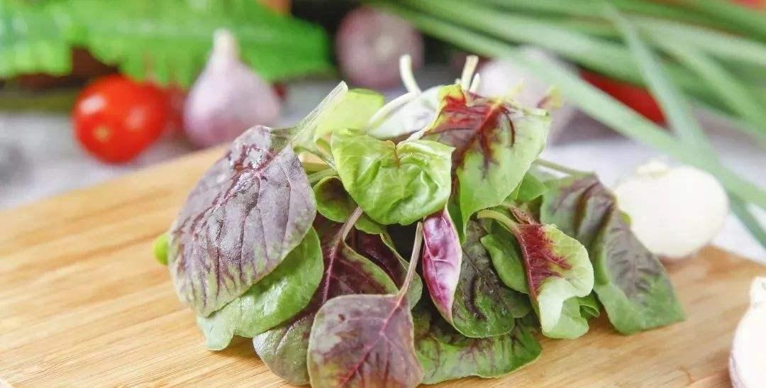 胆固醇血脂高有哪些食物不能吃,什么食物降血脂和胆固醇还护肝