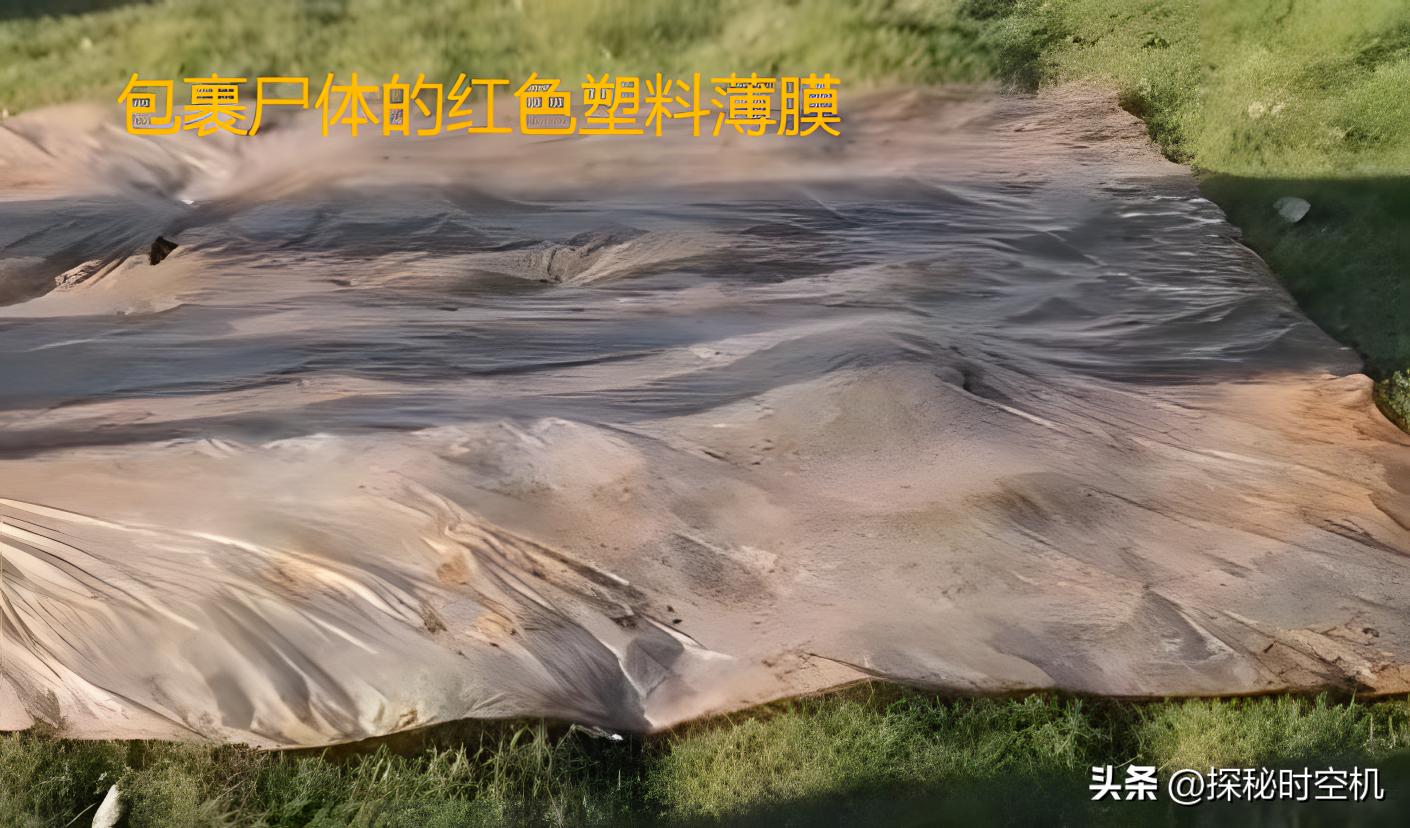 浙江行李箱碎尸案,江西皮箱藏尸真相大揭秘最新