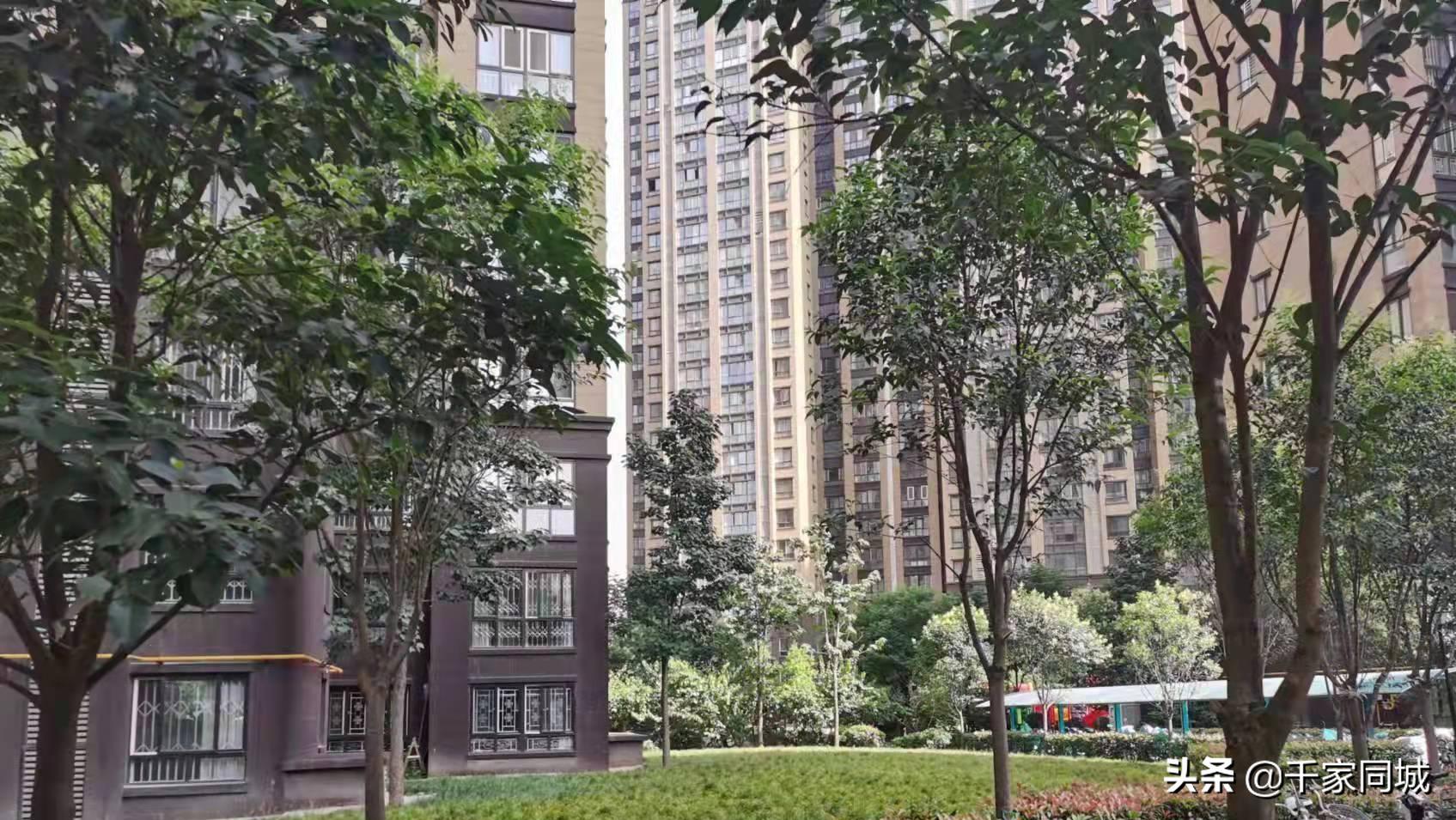 买房为什么不买248楼,买房千万别买的楼层