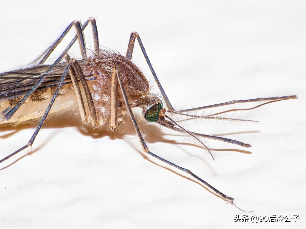 商品房二层到底好不好,商品房二楼有什么缺点