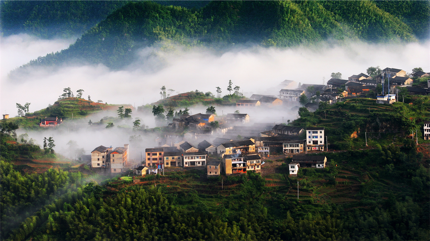 雅茶品禅味,茶烟养性灵