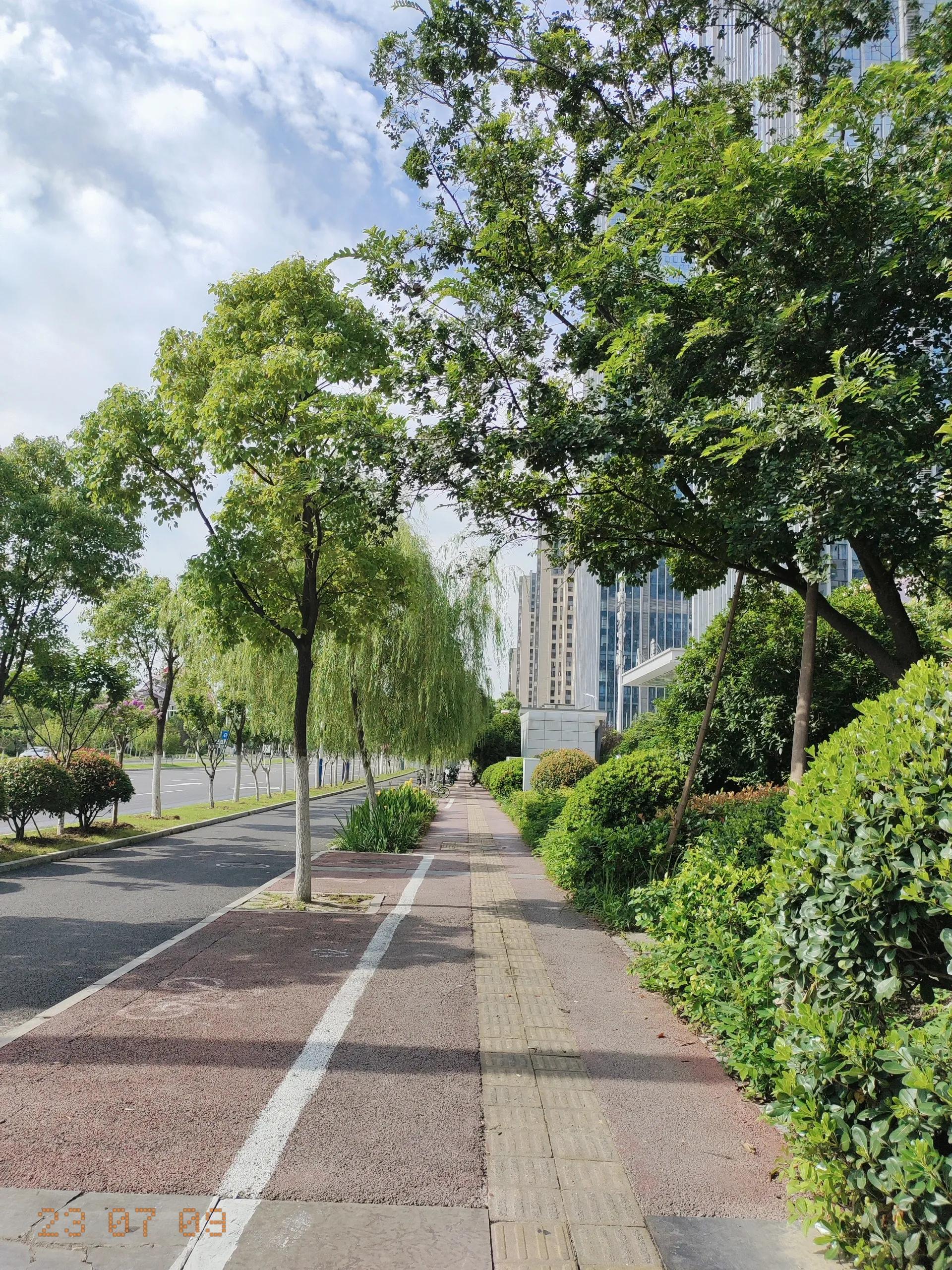 生病了才知道雨伞重要,生病了才知道伞有多重要