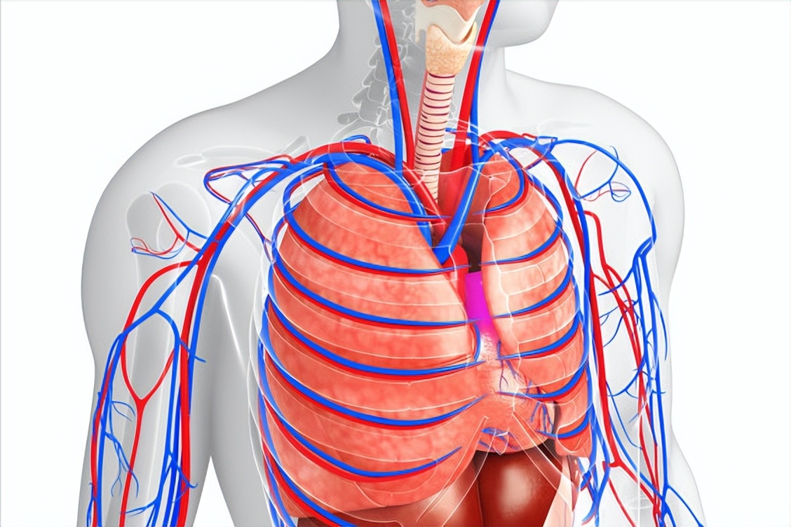治咳有何方法,止咳的土办法有什么