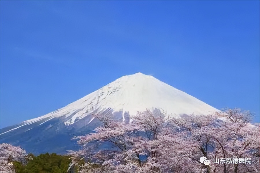 血管“清洁工”DFPP：专治血液不干净