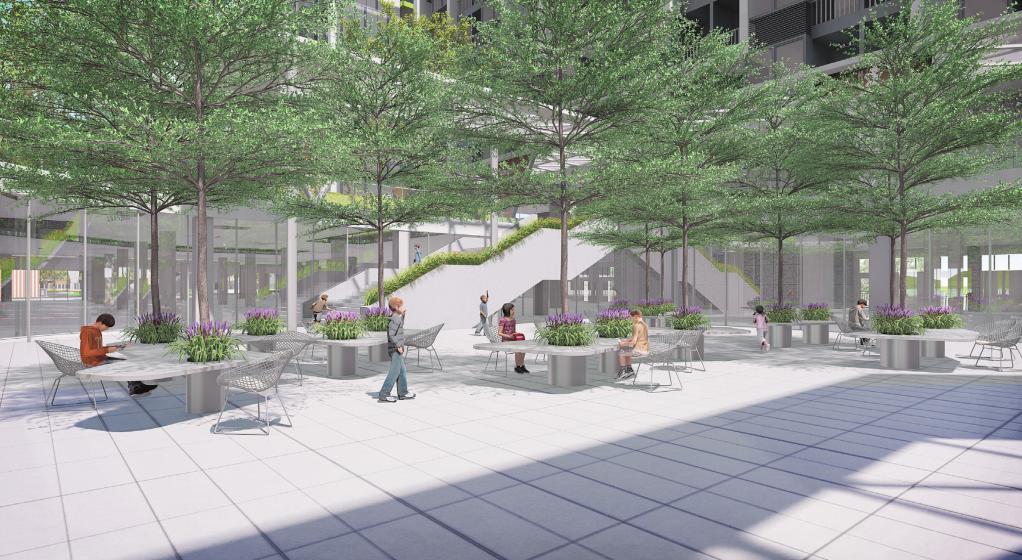 打造学生健康快乐成长的“林中学堂”，这所深圳高中做到了！