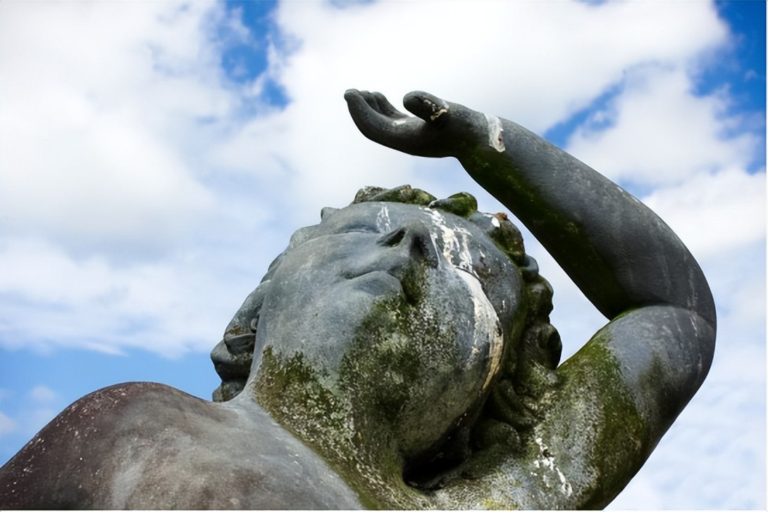 为什么鸟喜欢在白车上拉黑屎，黑车上拉白屎？