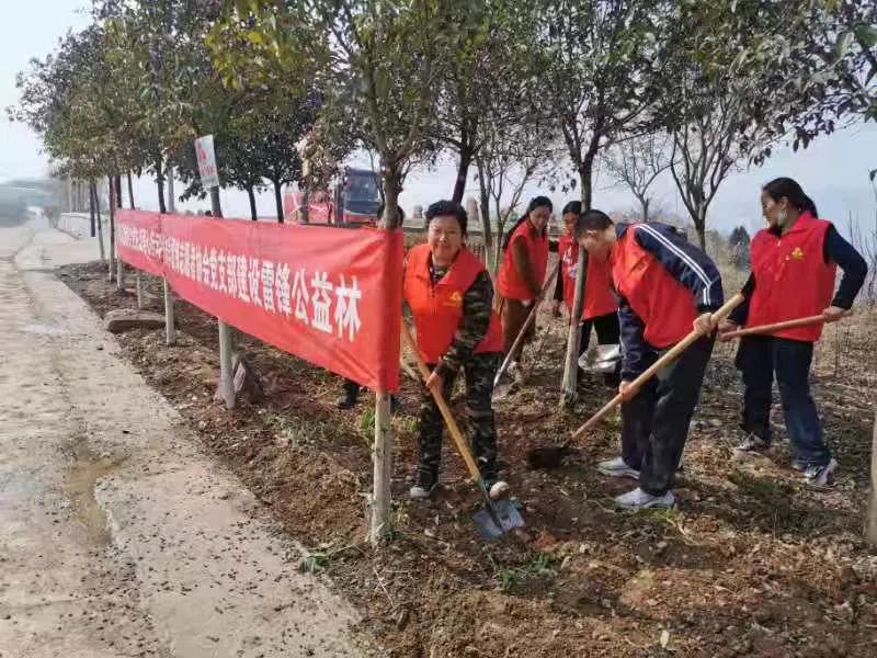 焦作市学雷锋志愿者协会建设第11个雷锋公益林