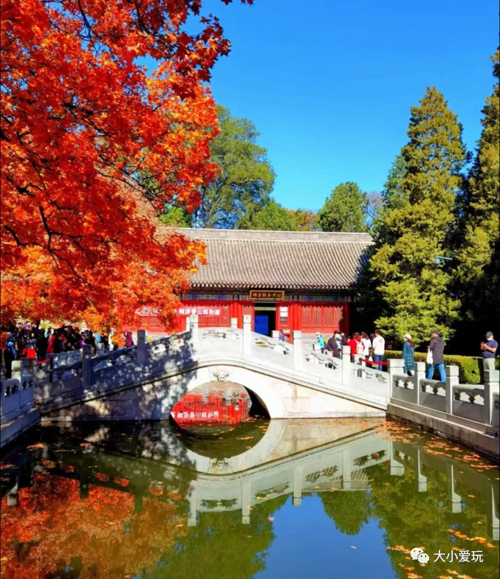 北京赏秋打卡地银杏大道,北京10条最值得打卡赏红叶线路