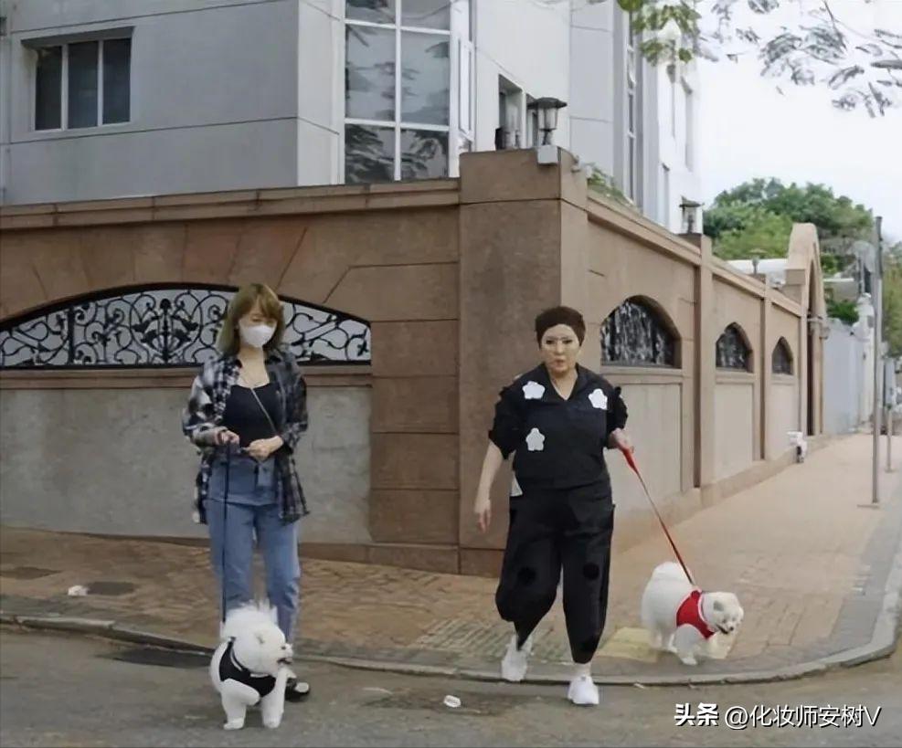 向太穿衣视频,向太遛狗