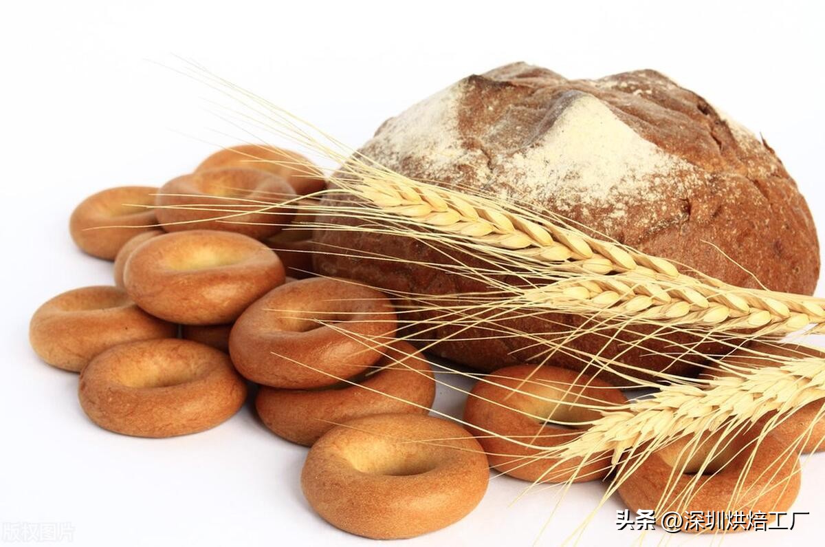 欧式面包有哪些品种 (欧式面包的特点是什么)