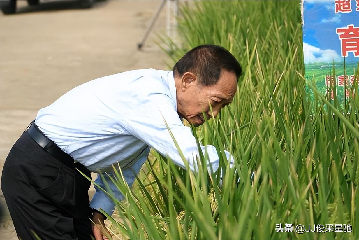 男生宣传母校被吐槽招生简章,学生卖力宣传母校是不是被吐槽