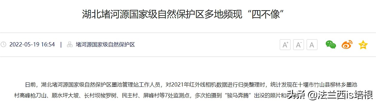 罕见的天马,罕见动物神兽