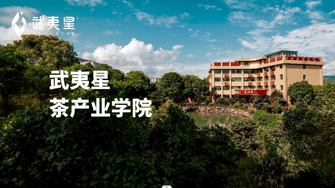 十大问题直击要害,中国茶企的现状和问题