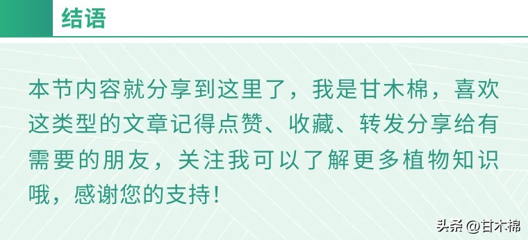 这种野果很清甜，它的根茎还是上好的煲汤辅料，可惜很多人不认识