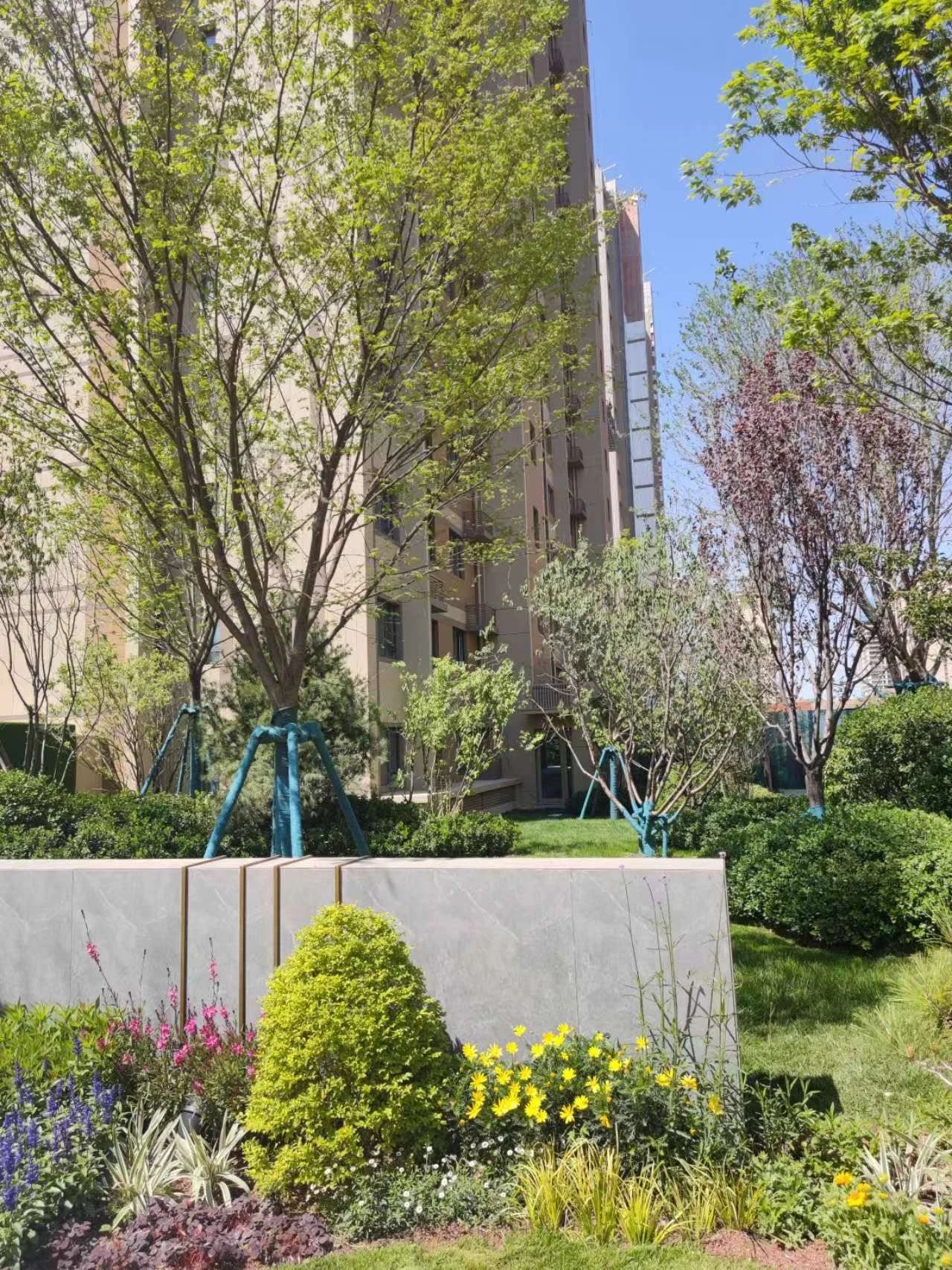 雪山万科城园林,雪山万科城有洋房吗