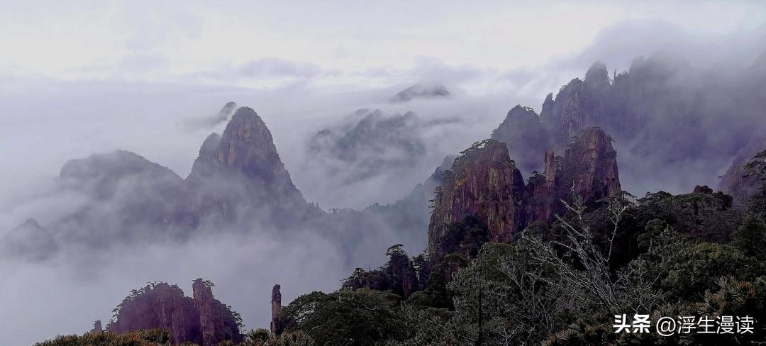 梅花易数万物类象解说视频,梅花易数万物类象全集