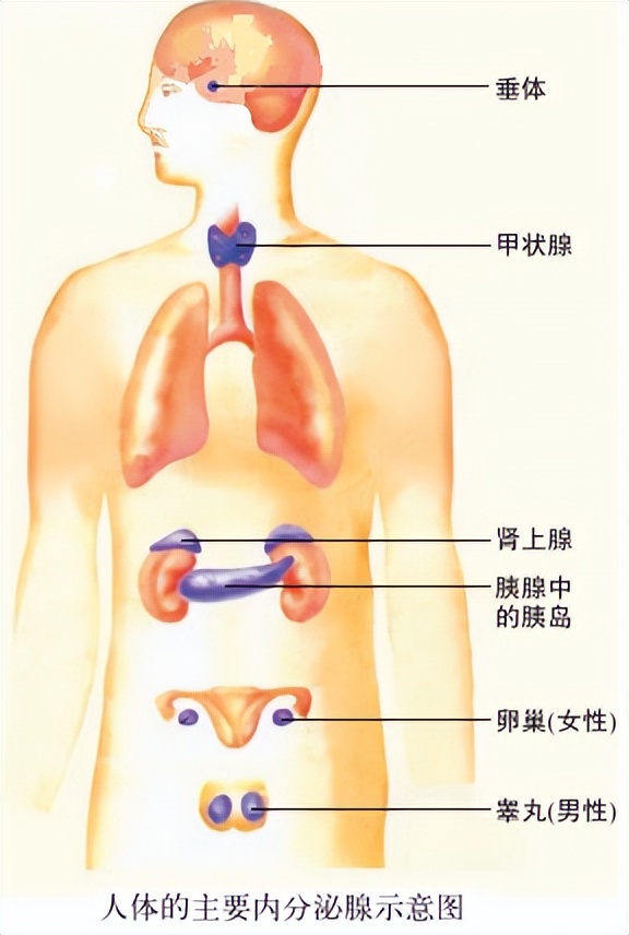 科学知识大全小学生必背,科学知识大全全集