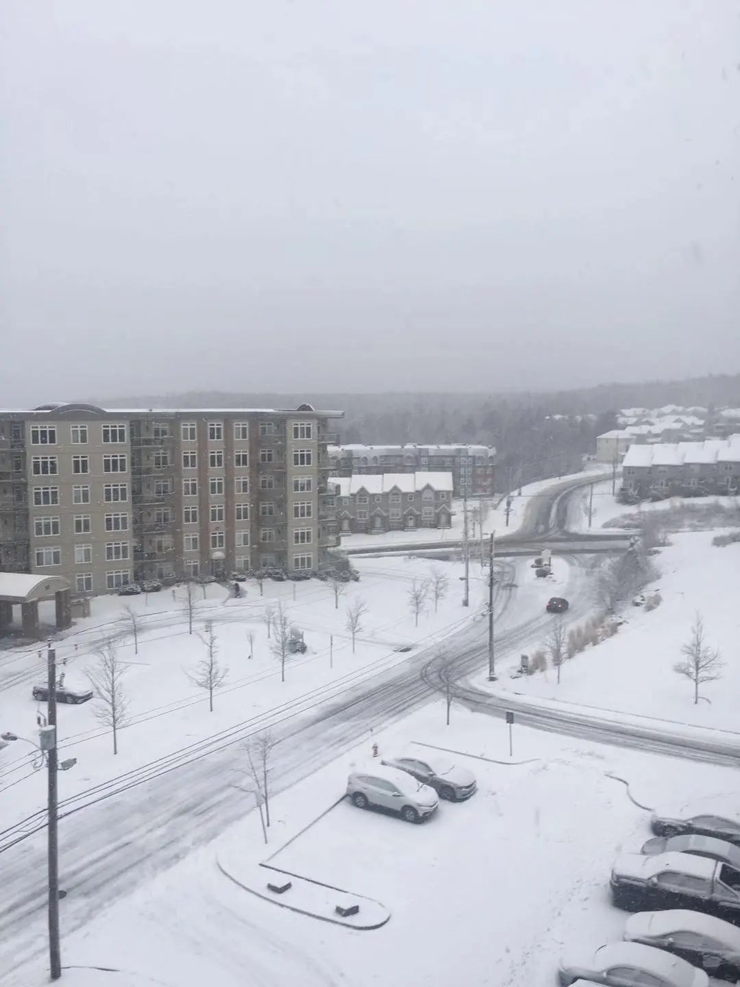 加拿大移民l冬天怎么过？——送你NS省过冬攻略