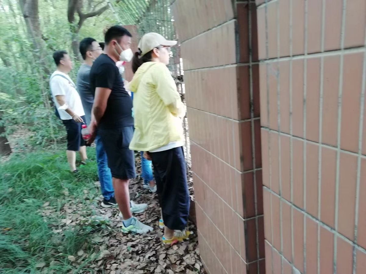 艺体生有什么出路,中考艺体生怎么考