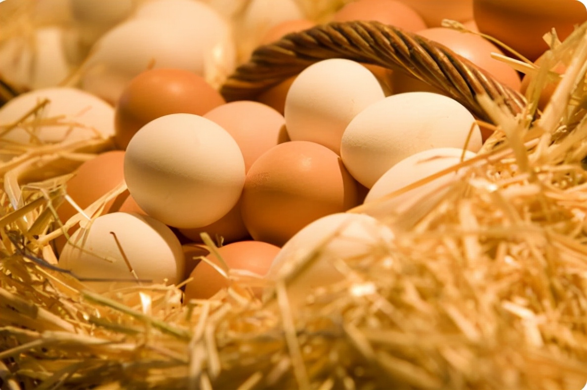 每天只吃鸡蛋减肥亲身经历,女子为了减肥每天只吃鸡蛋