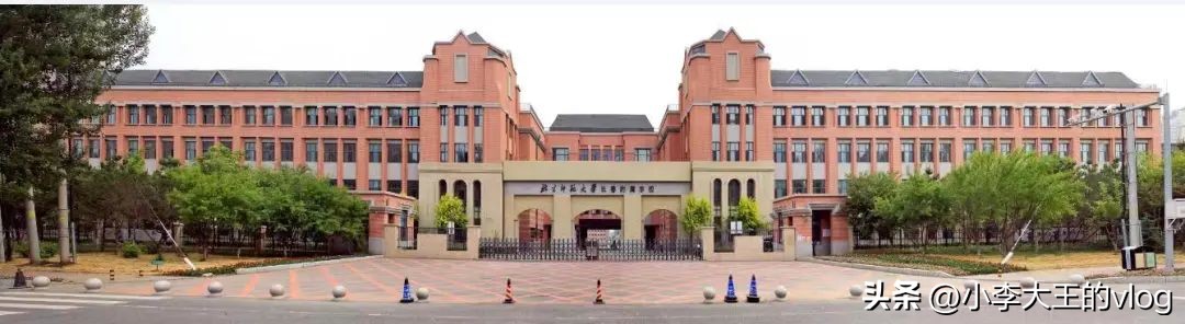 民办学校的神仙打架,长春小学打架事件