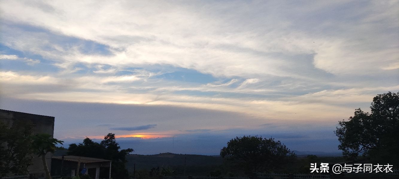 菠萝蜜的生长过程文字,菠萝蜜的生长周期是多少天