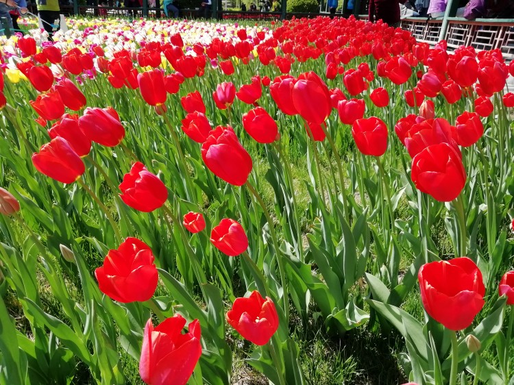 杭州西湖十景和新西湖十景,杭州西湖十景详解