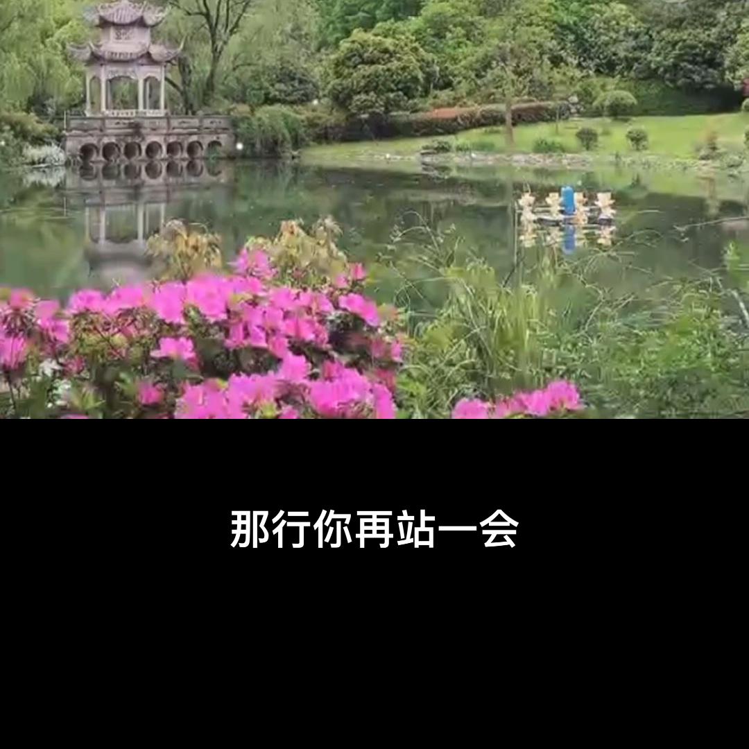 74章（5）收租风波@抖音短视频