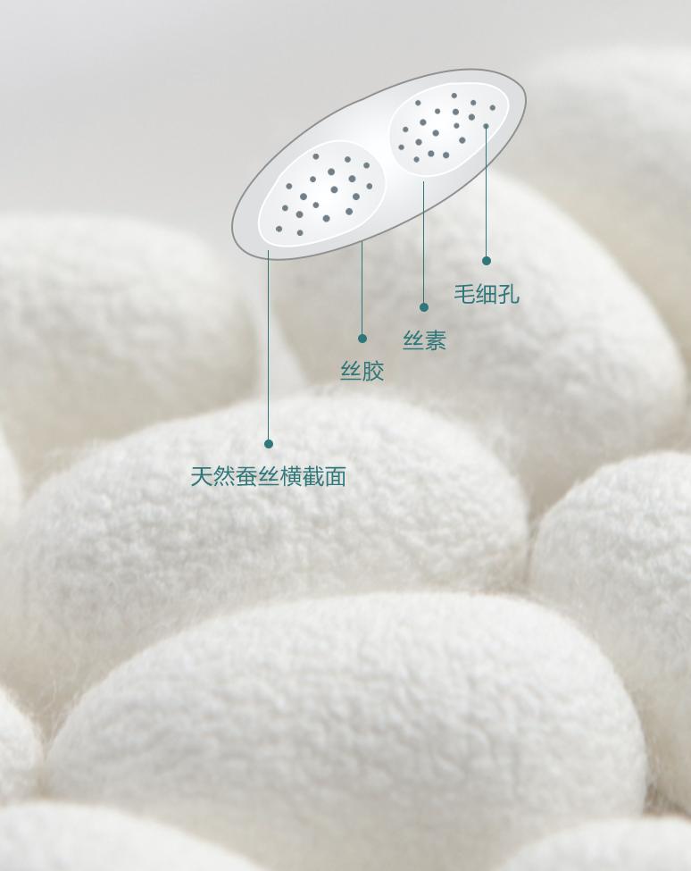 蚕丝制品哪个牌子好些,蚕丝有哪些医疗用途